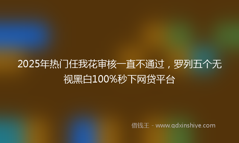 2025年热门任我花审核一直不通过，罗列五个无视黑白100%秒下网贷平台