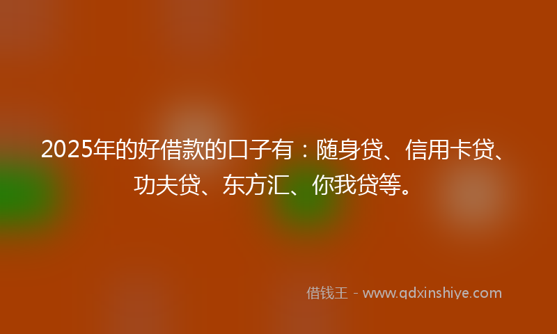 2025年的好借款的口子有：随身贷、信用卡贷、功夫贷、东方汇、你我贷等。