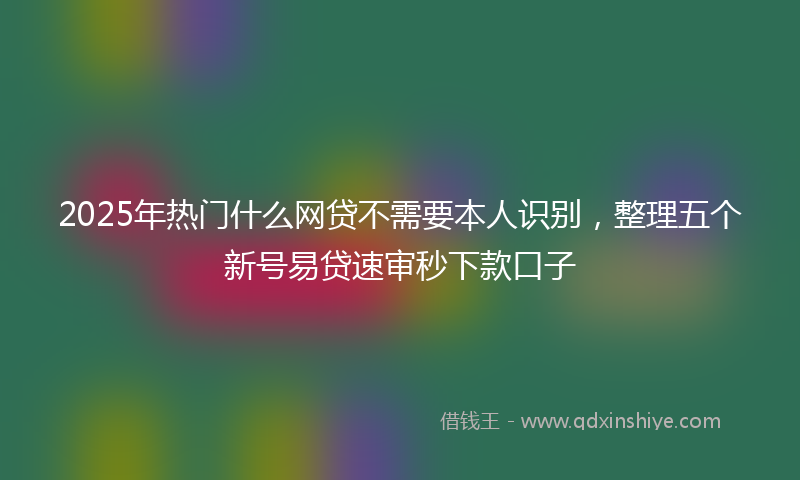 2025年热门什么网贷不需要本人识别，整理五个新号易贷速审秒下款口子