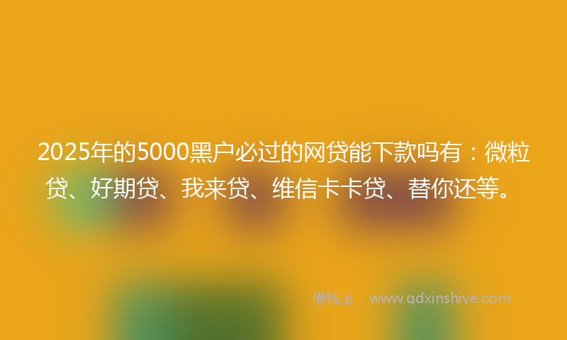 2025年的5000黑户必过的网贷能下款吗有：微粒贷、好期贷、我来贷、维信卡卡贷、替你还等。
