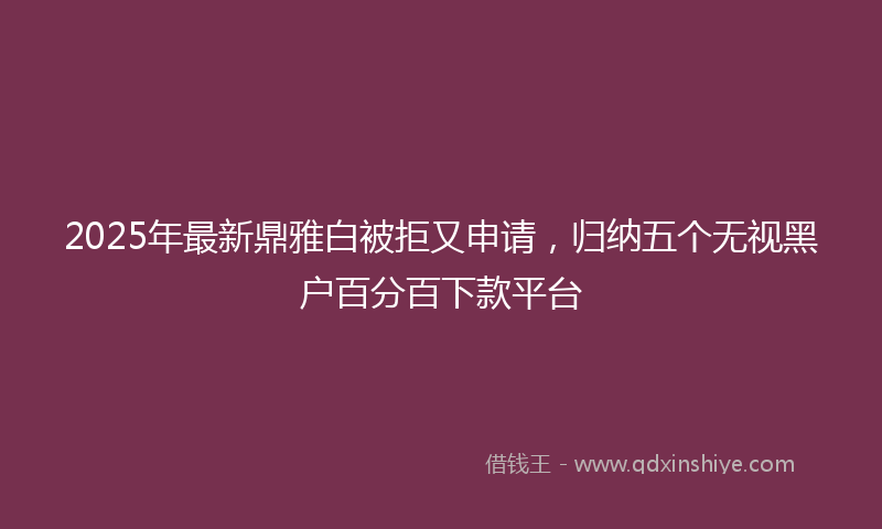 2025年最新鼎雅白被拒又申请，归纳五个无视黑户百分百下款平台