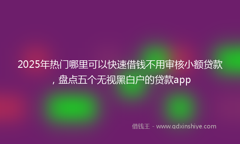2025年热门哪里可以快速借钱不用审核小额贷款，盘点五个无视黑白户的贷款app