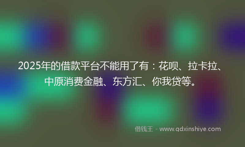 2025年的借款平台不能用了有：花呗、拉卡拉、中原消费金融、东方汇、你我贷等。