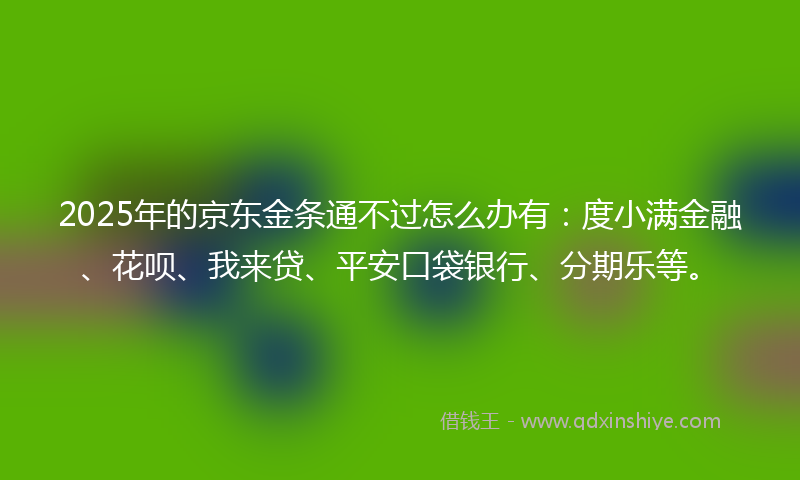 2025年的京东金条通不过怎么办有：度小满金融、花呗、我来贷、平安口袋银行、分期乐等。