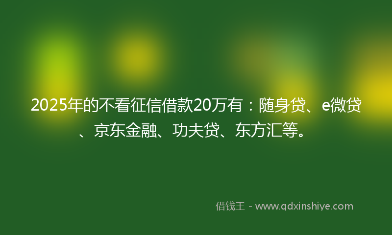 2025年的不看征信借款20万有：随身贷、e微贷、京东金融、功夫贷、东方汇等。