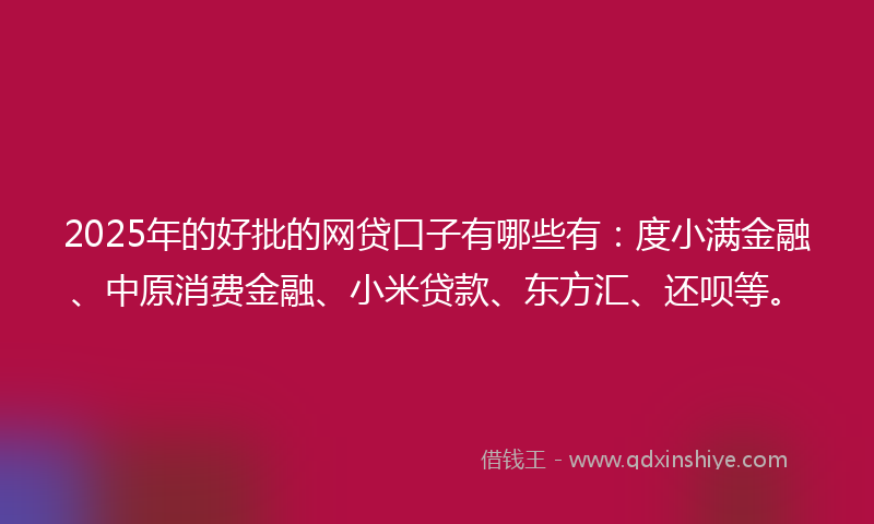 2025年的好批的网贷口子有哪些有：度小满金融、中原消费金融、小米贷款、东方汇、还呗等。
