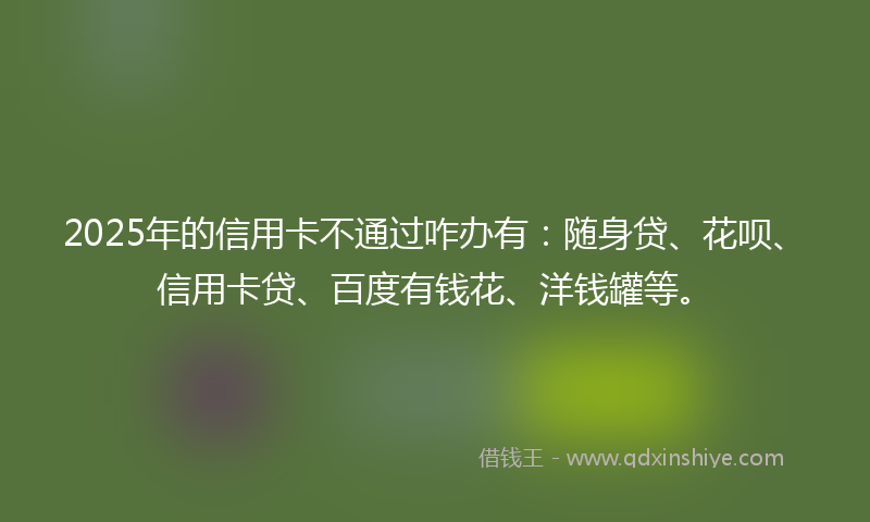 2025年的信用卡不通过咋办有：随身贷、花呗、信用卡贷、百度有钱花、洋钱罐等。