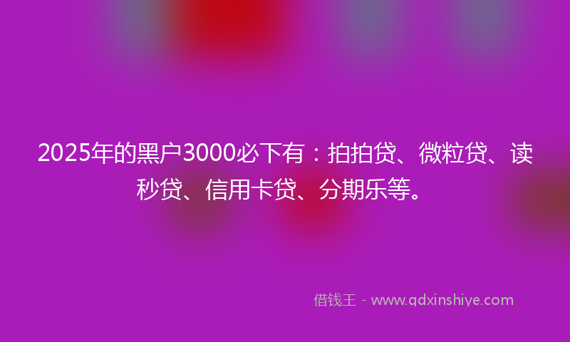 2025年的黑户3000必下有：拍拍贷、微粒贷、读秒贷、信用卡贷、分期乐等。