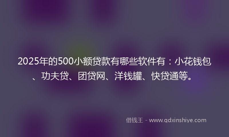 2025年的500小额贷款有哪些软件有：小花钱包、功夫贷、团贷网、洋钱罐、快贷通等。