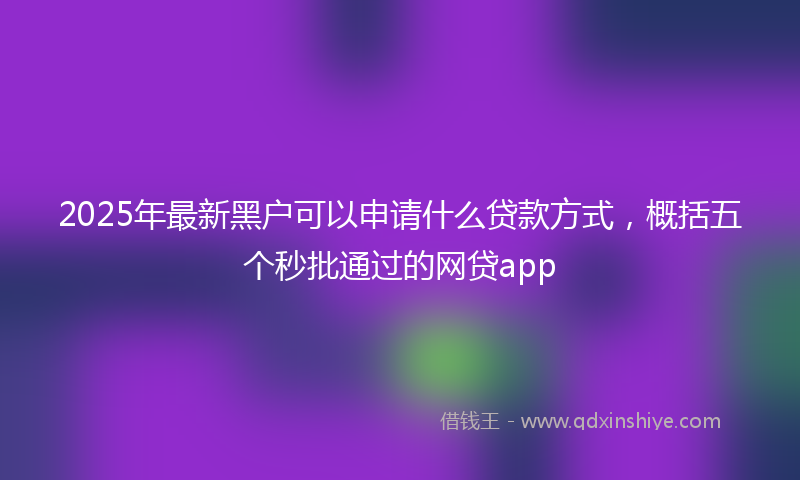 2025年最新黑户可以申请什么贷款方式，概括五个秒批通过的网贷app