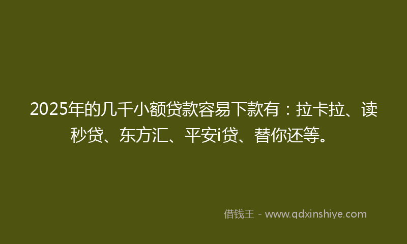 2025年的几千小额贷款容易下款有：拉卡拉、读秒贷、东方汇、平安i贷、替你还等。