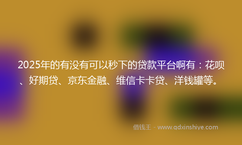 2025年的有没有可以秒下的贷款平台啊有：花呗、好期贷、京东金融、维信卡卡贷、洋钱罐等。