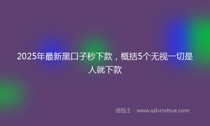 2025年最新黑口子秒下款，概括5个无视一切是人就下款