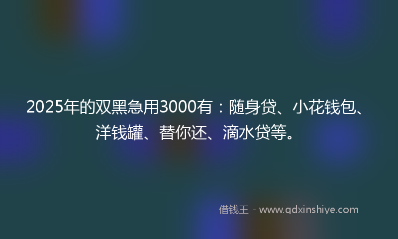 2025年的双黑急用3000有：随身贷、小花钱包、洋钱罐、替你还、滴水贷等。