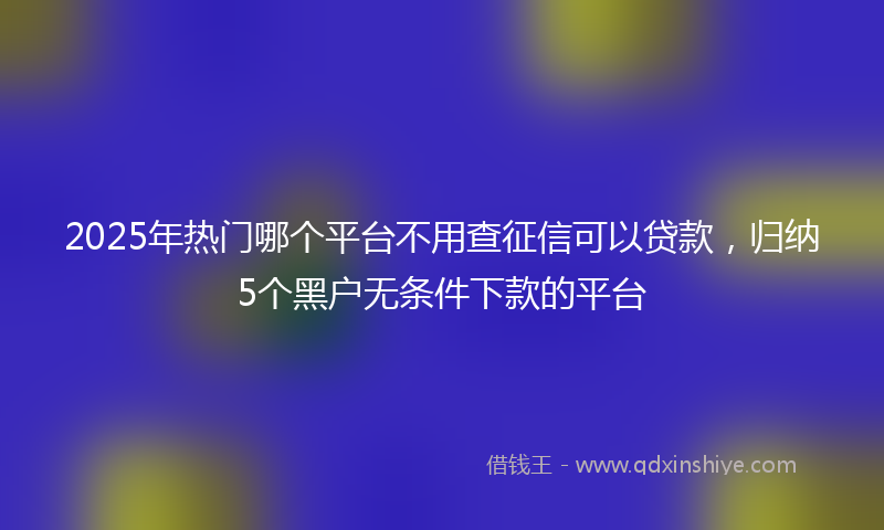 2025年热门哪个平台不用查征信可以贷款，归纳5个黑户无条件下款的平台