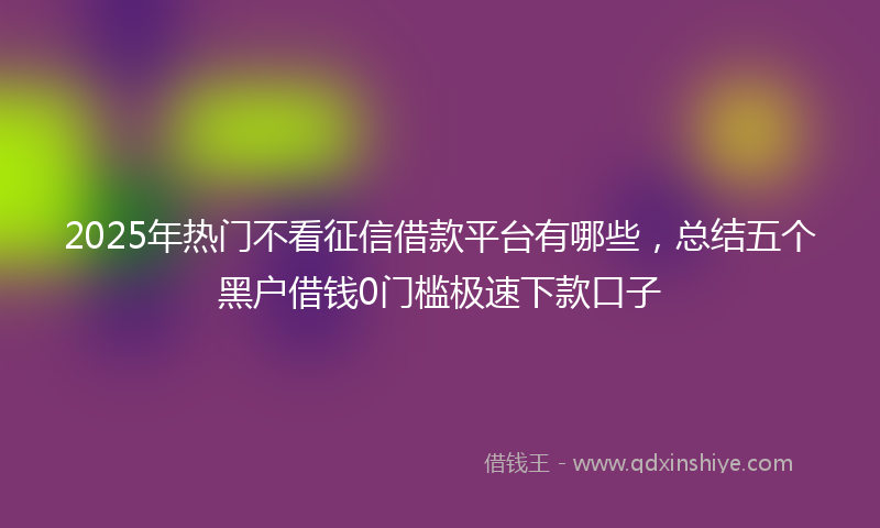 2025年热门不看征信借款平台有哪些，总结五个黑户借钱0门槛极速下款口子