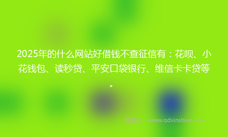 2025年的什么网站好借钱不查征信有：花呗、小花钱包、读秒贷、平安口袋银行、维信卡卡贷等。