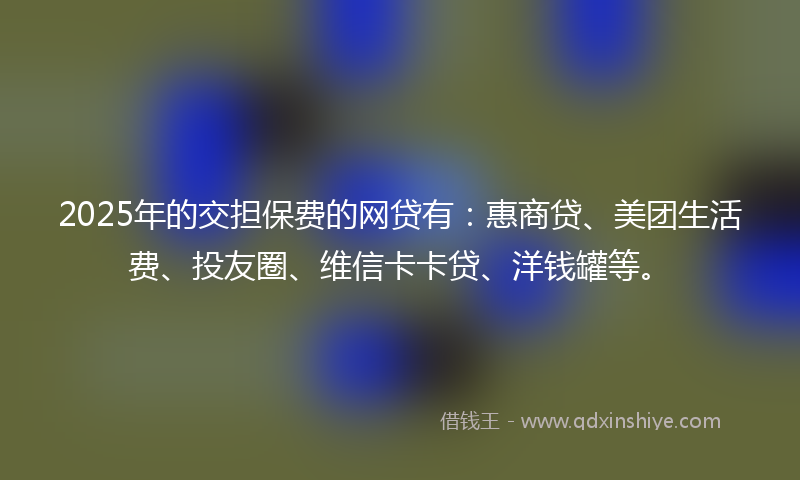 2025年的交担保费的网贷有：惠商贷、美团生活费、投友圈、维信卡卡贷、洋钱罐等。