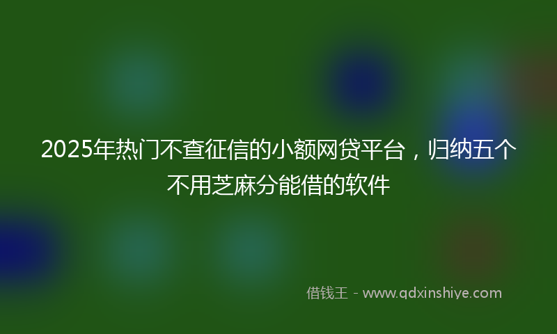 2025年热门不查征信的小额网贷平台，归纳五个不用芝麻分能借的软件