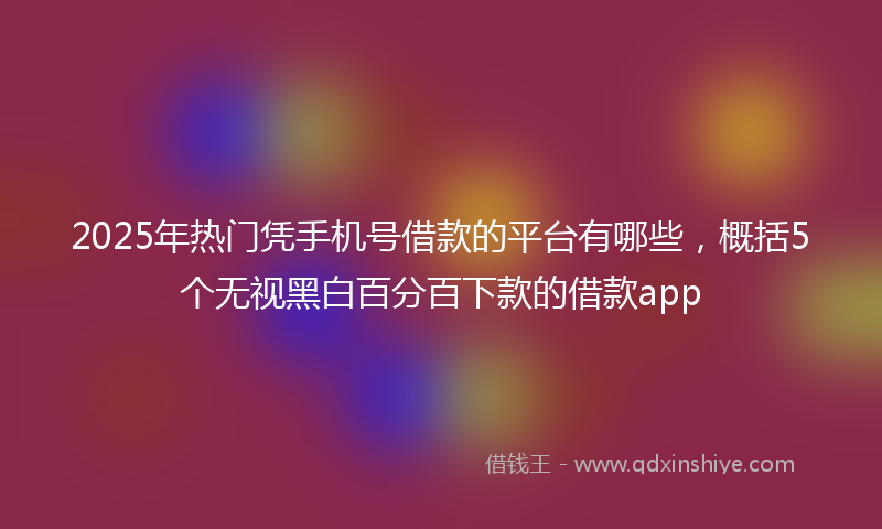 2025年热门凭手机号借款的平台有哪些，概括5个无视黑白百分百下款的借款app
