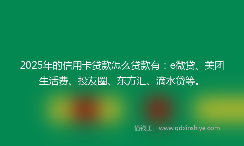2025年的信用卡贷款怎么贷款有：e微贷、美团生活费、投友圈、东方汇、滴水贷等。