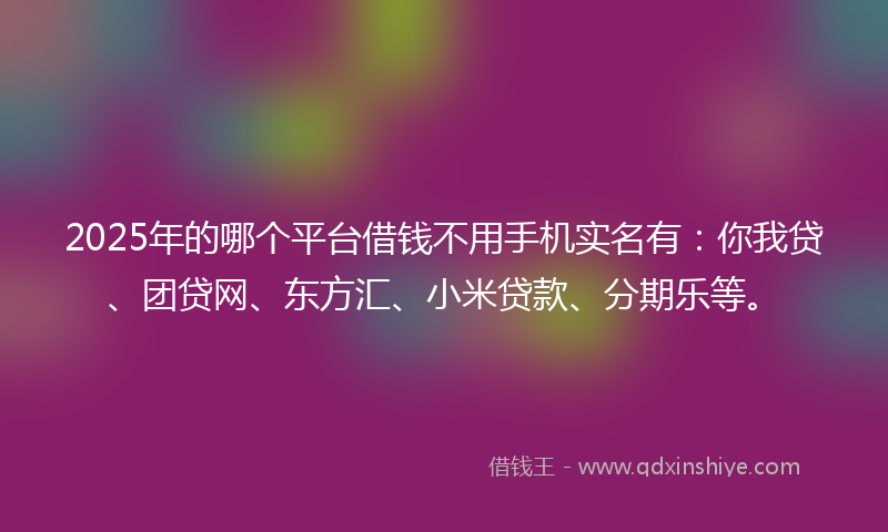 2025年的哪个平台借钱不用手机实名有：你我贷、团贷网、东方汇、小米贷款、分期乐等。