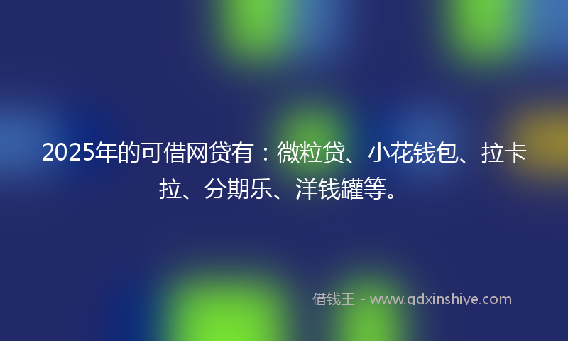 2025年的可借网贷有：微粒贷、小花钱包、拉卡拉、分期乐、洋钱罐等。