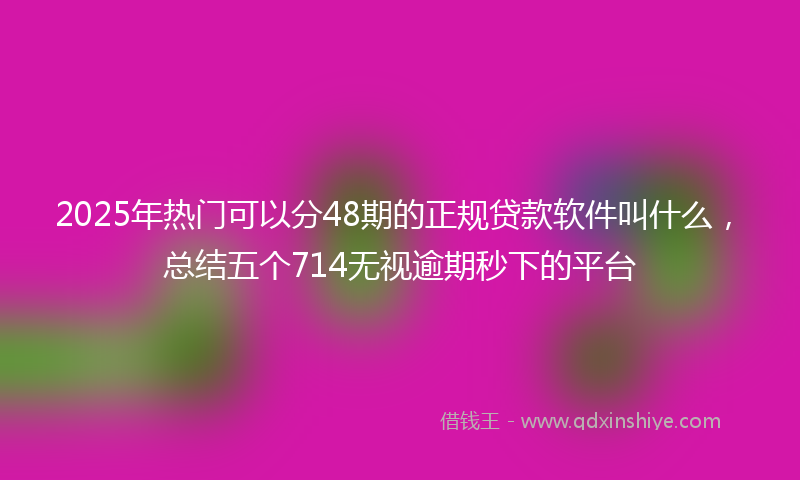 2025年热门可以分48期的正规贷款软件叫什么，总结五个714无视逾期秒下的平台