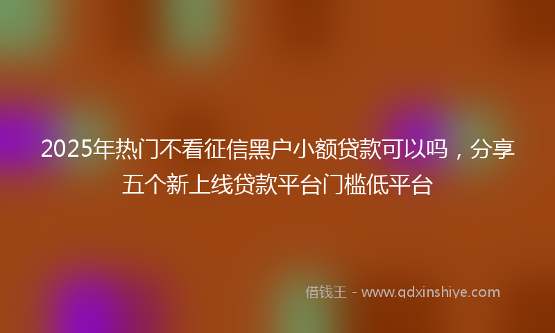 2025年热门不看征信黑户小额贷款可以吗，分享五个新上线贷款平台门槛低平台