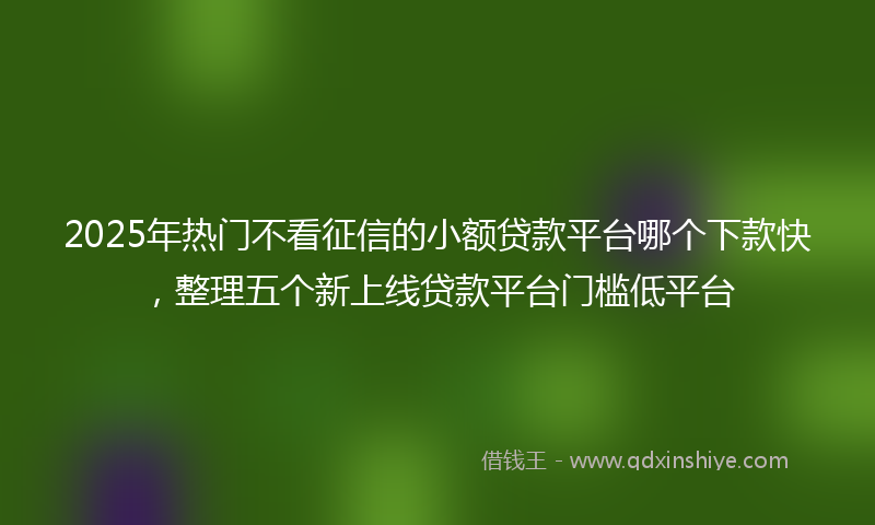 2025年热门不看征信的小额贷款平台哪个下款快，整理五个新上线贷款平台门槛低平台