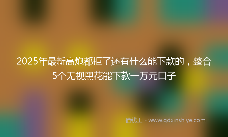 2025年最新高炮都拒了还有什么能下款的，整合5个无视黑花能下款一万元口子