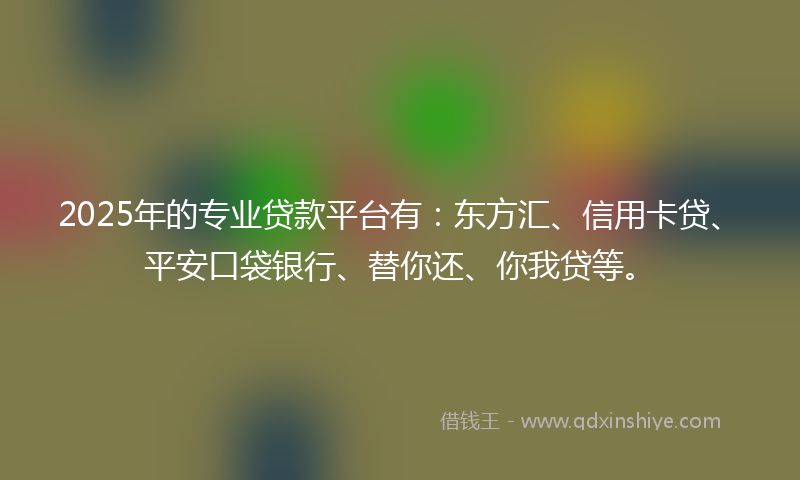 2025年的专业贷款平台有：东方汇、信用卡贷、平安口袋银行、替你还、你我贷等。