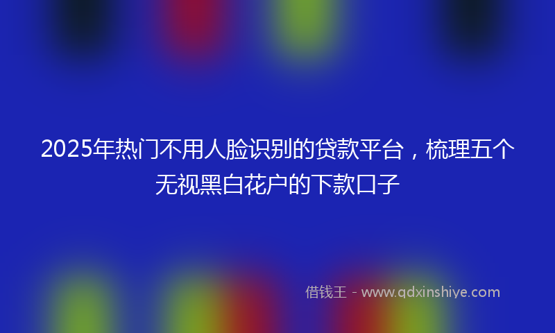 2025年热门不用人脸识别的贷款平台，梳理五个无视黑白花户的下款口子