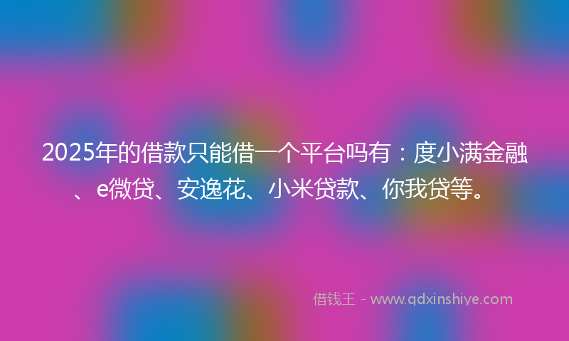 2025年的借款只能借一个平台吗有：度小满金融、e微贷、安逸花、小米贷款、你我贷等。