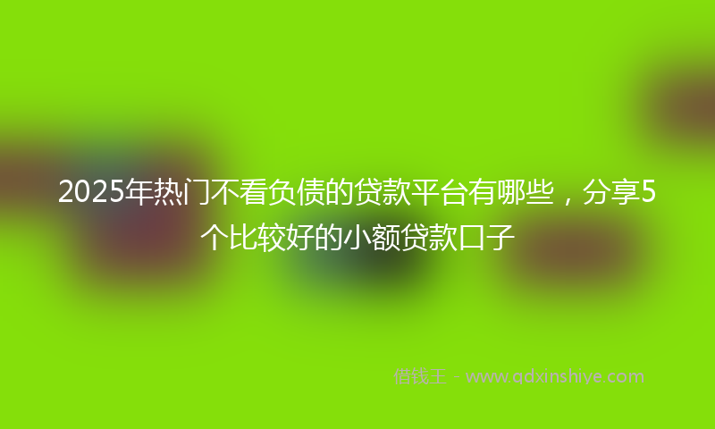 2025年热门不看负债的贷款平台有哪些，分享5个比较好的小额贷款口子