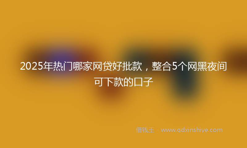 2025年热门哪家网贷好批款，整合5个网黑夜间可下款的口子