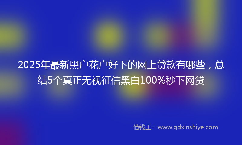 2025年最新黑户花户好下的网上贷款有哪些，总结5个真正无视征信黑白100%秒下网贷
