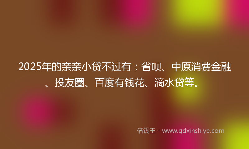 2025年的亲亲小贷不过有：省呗、中原消费金融、投友圈、百度有钱花、滴水贷等。