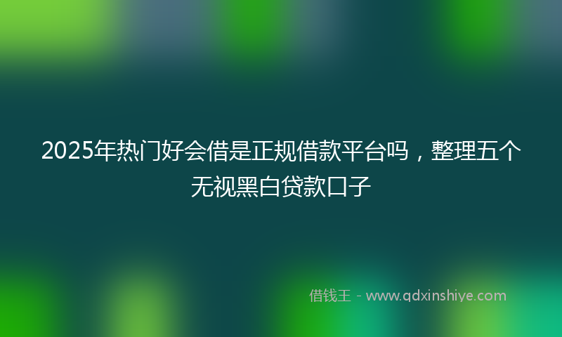 2025年热门好会借是正规借款平台吗，整理五个无视黑白贷款口子