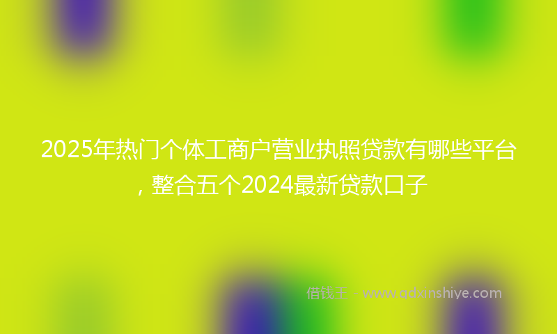 2025年热门个体工商户营业执照贷款有哪些平台，整合五个2024最新贷款口子