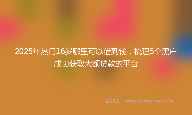 2025年热门16岁哪里可以借到钱，梳理5个黑户成功获取大额贷款的平台