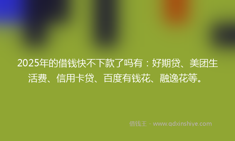 2025年的借钱快不下款了吗有：好期贷、美团生活费、信用卡贷、百度有钱花、融逸花等。
