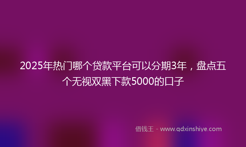 2025年热门哪个贷款平台可以分期3年，盘点五个无视双黑下款5000的口子