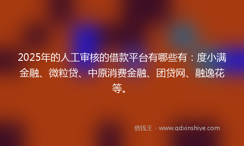 2025年的人工审核的借款平台有哪些有：度小满金融、微粒贷、中原消费金融、团贷网、融逸花等。