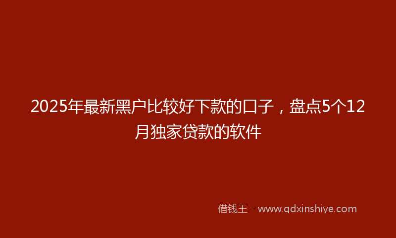 2025年最新黑户比较好下款的口子，盘点5个12月独家贷款的软件