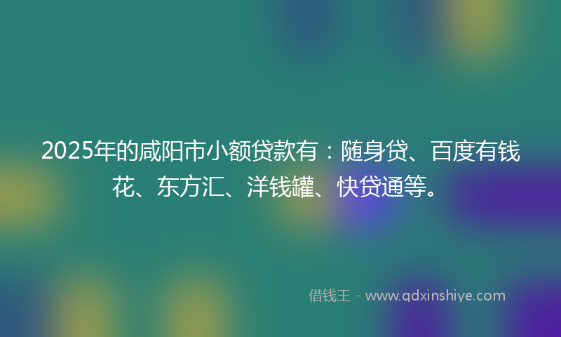 2025年的咸阳市小额贷款有：随身贷、百度有钱花、东方汇、洋钱罐、快贷通等。