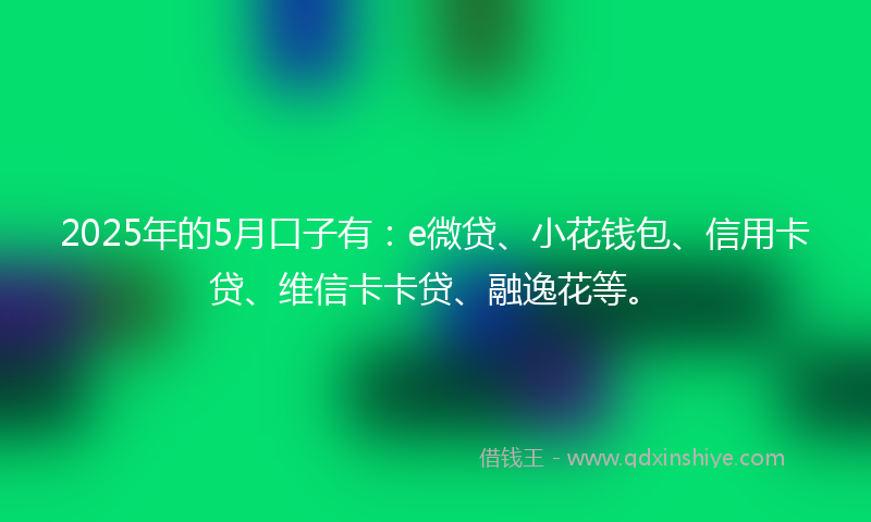 2025年的5月口子有：e微贷、小花钱包、信用卡贷、维信卡卡贷、融逸花等。