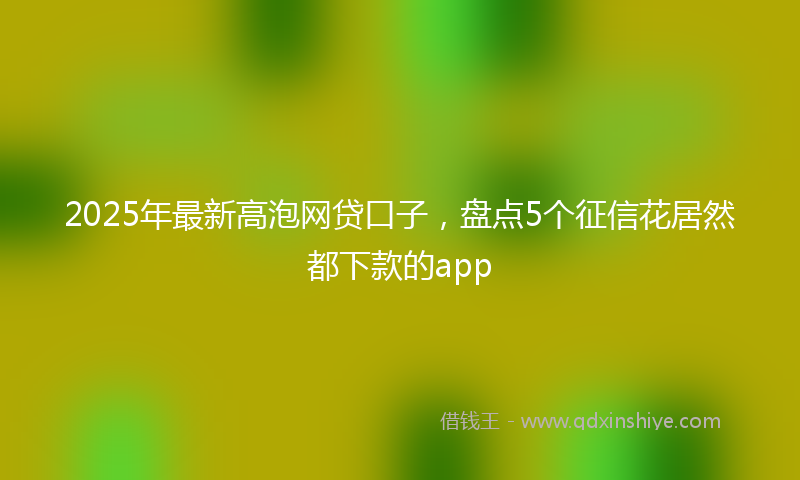 2025年最新高泡网贷口子，盘点5个征信花居然都下款的app