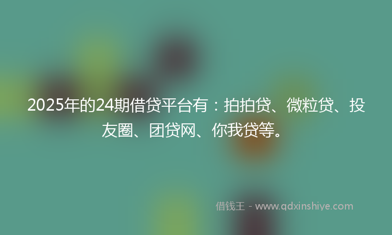 2025年的24期借贷平台有：拍拍贷、微粒贷、投友圈、团贷网、你我贷等。