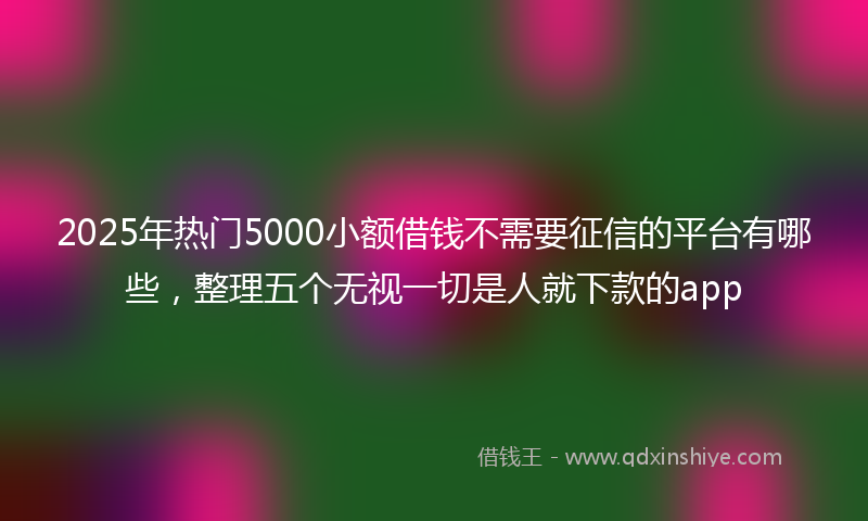 2025年热门5000小额借钱不需要征信的平台有哪些，整理五个无视一切是人就下款的app